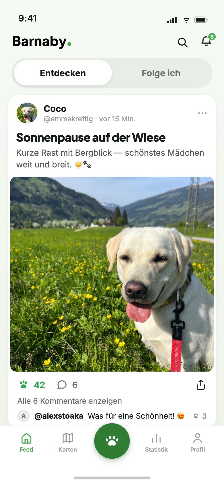Barnaby Feed: Beitrag mit Hundefoto, Wuffs und Kommentaren