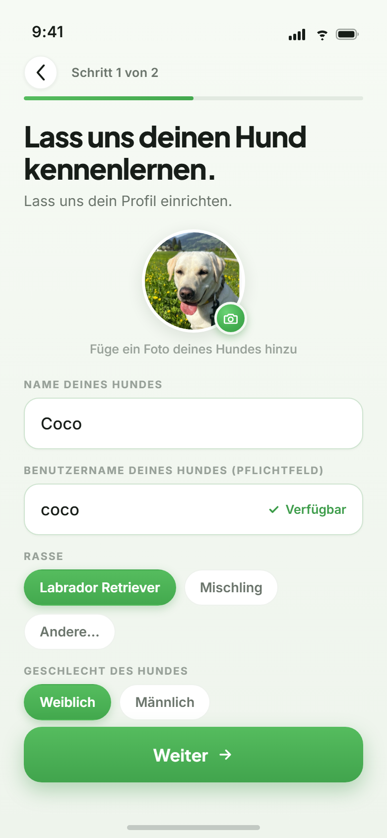 Barnaby Einrichtung: Hundeprofil anlegen mit Name, Rasse und Foto