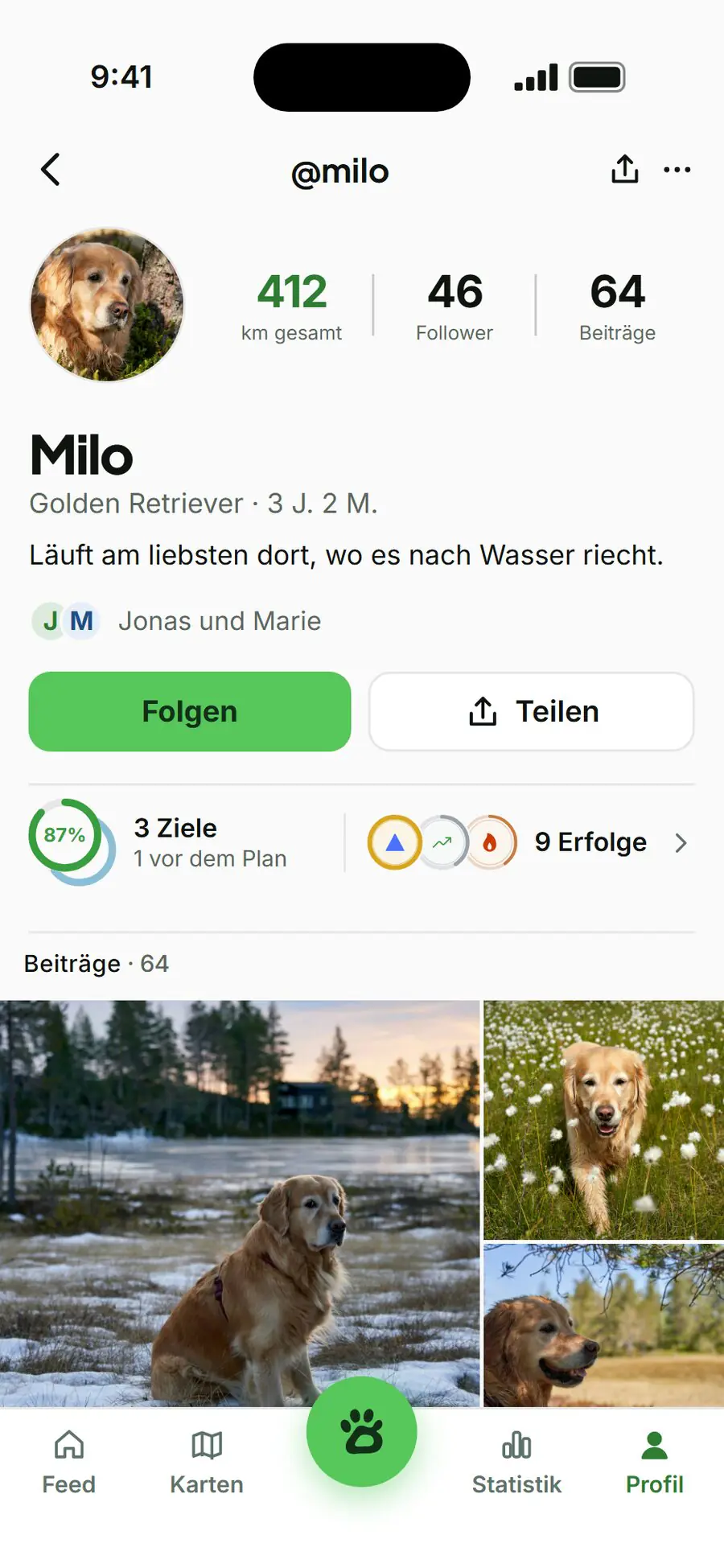 Barnaby Hundeprofil: Milo der Golden Retriever mit 412 km gesamt, Zielen, Erfolgen und Fotoraster
