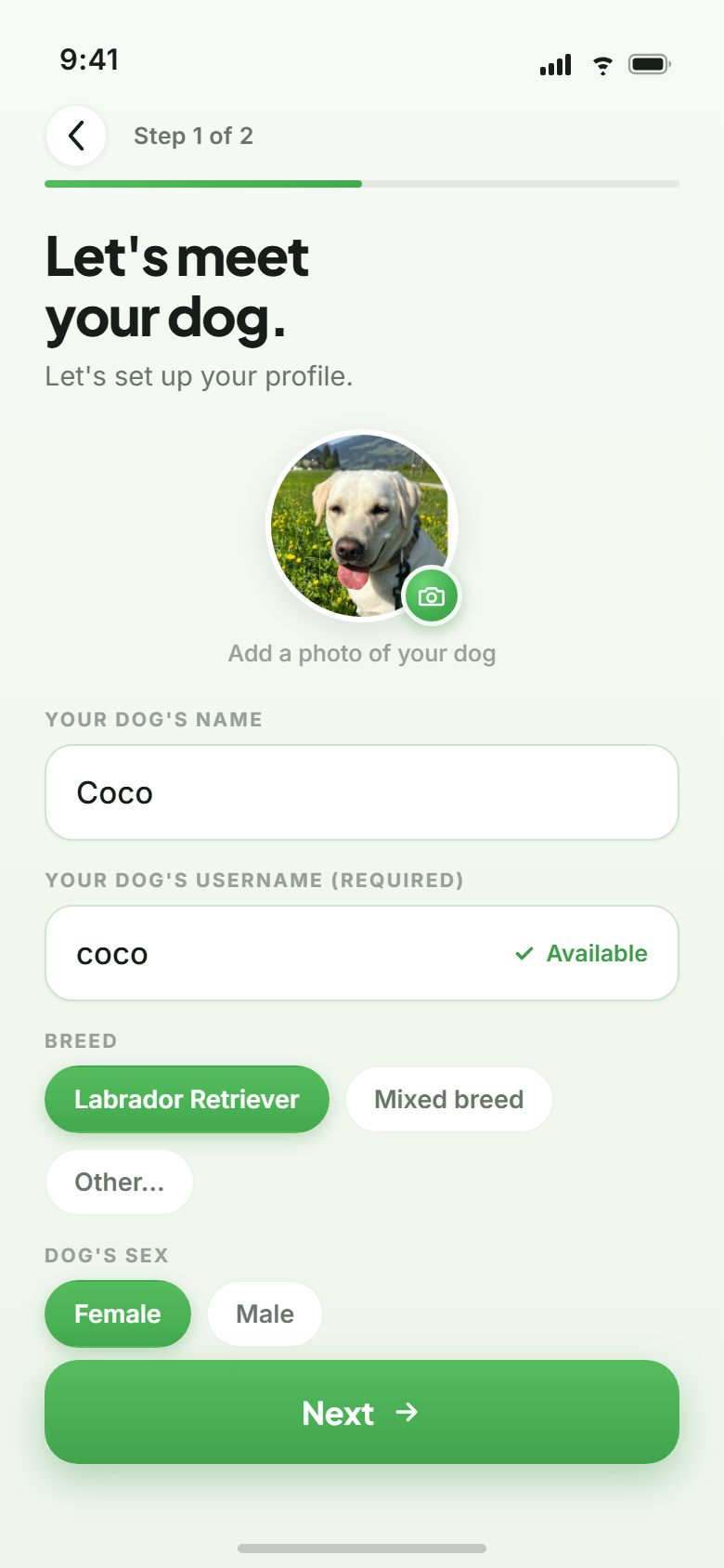 Barnaby dog profile: kilometres, weekly goal and achievements