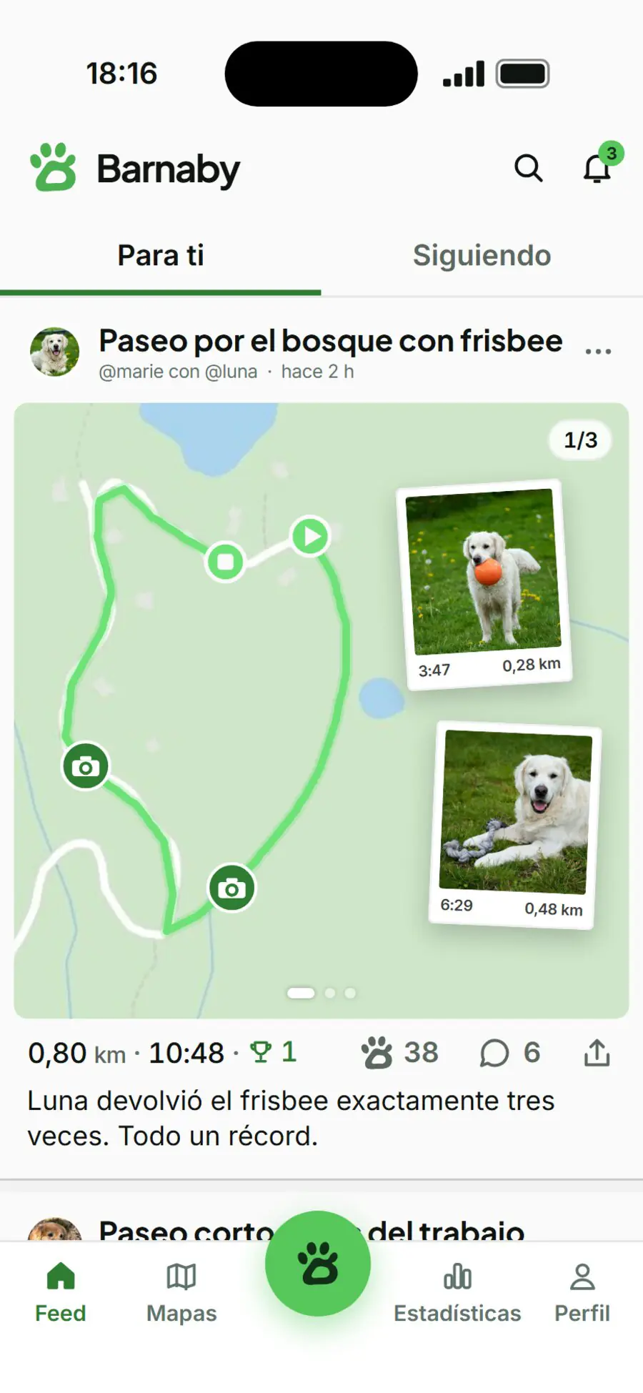 Feed de barnaby: paseo por el bosque con su mapa, dos fotos en la ruta, Me gusta y comentarios