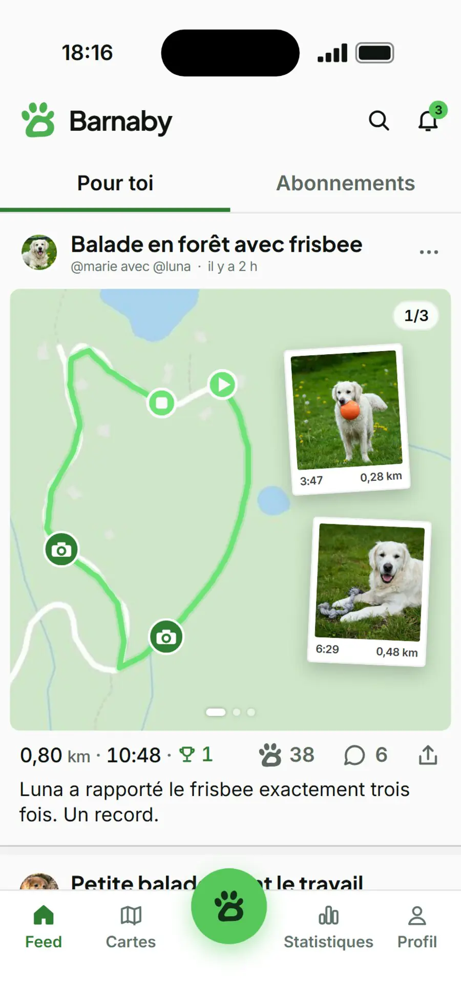 feed barnaby : balade en forêt avec sa carte, deux photos le long du trajet, des J'aime et des commentaires