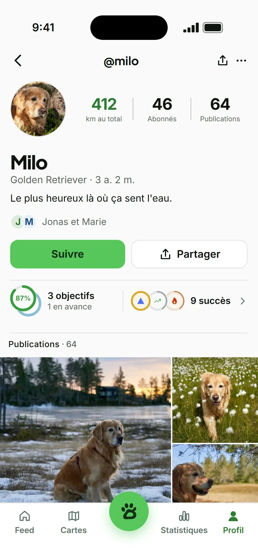 profil de chien barnaby : Milo le golden retriever avec 412 km au total, objectifs, succès et grille de photos